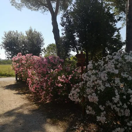 Podere Simonetta - - A12