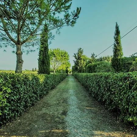 Podere Simonetta - - A12 * Cecina (Livorno)